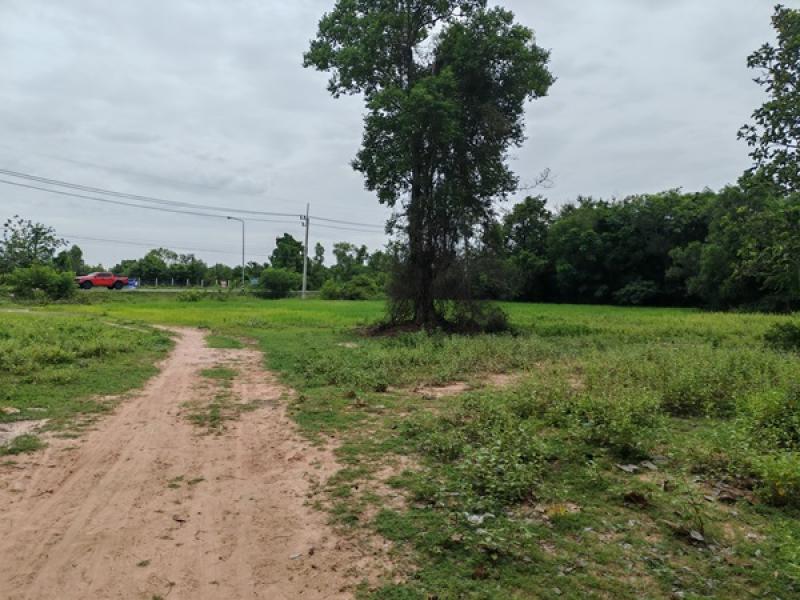 รูปที่3 ต้องการขายที่ดินเปล่า ประทาย ประทาย ราคา 17,800,000 บาท