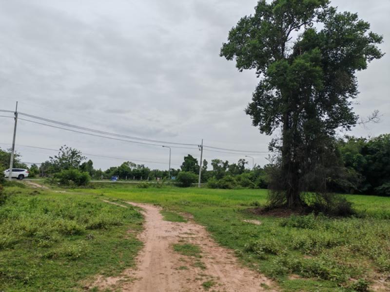 รูปที่4 ต้องการขายที่ดินเปล่า ประทาย ประทาย ราคา 17,800,000 บาท