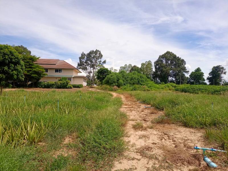 รูปที่4 ต้องการขายบ้านพร้อมที่ดิน วังเย็น เมืองกาญจนบุรี ราคา 25,000,000 บาท