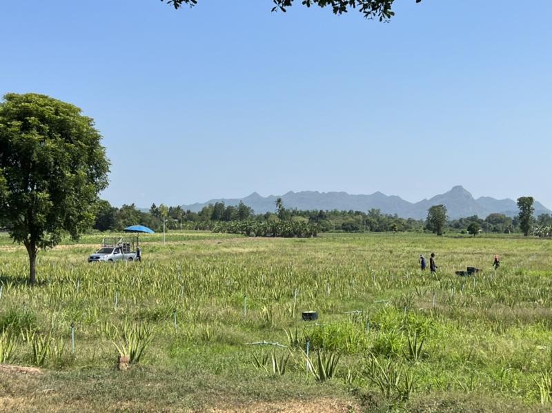 รูปที่7 ต้องการขายบ้านพร้อมที่ดิน วังเย็น เมืองกาญจนบุรี ราคา 25,000,000 บาท