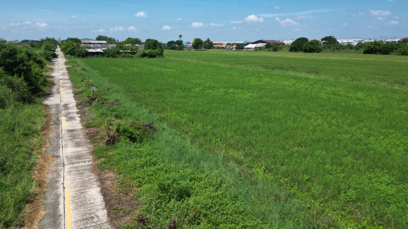 รูปที่2 ต้องการขายที่ดินเปล่า ลำลูกกา ลำลูกกา ราคา 4,000,000 บาท