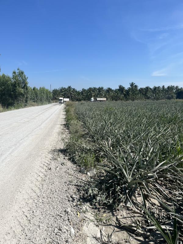 รูปที่2 ต้องการขายที่ดินเปล่า คลองกิ่ว บ้านบึง ราคา 3,000,000 บาท