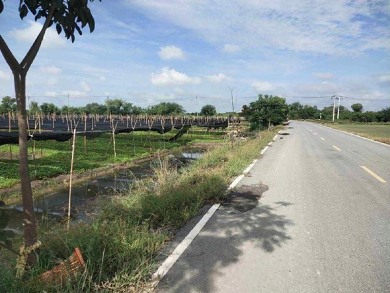 รูปที่3 ต้องการขายที่ดินเปล่า ไทรใหญ่ ไทรน้อย ราคา 2,600,000 บาท