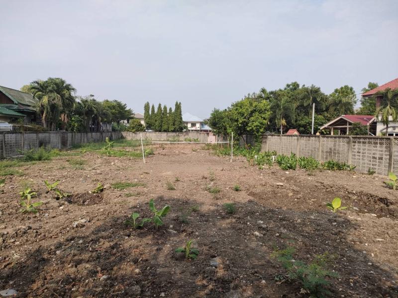 รูปที่5 ให้เช่าที่ดินเปล่า ท่าแร้ง เขตบางเขน ราคา 30,000 บาท