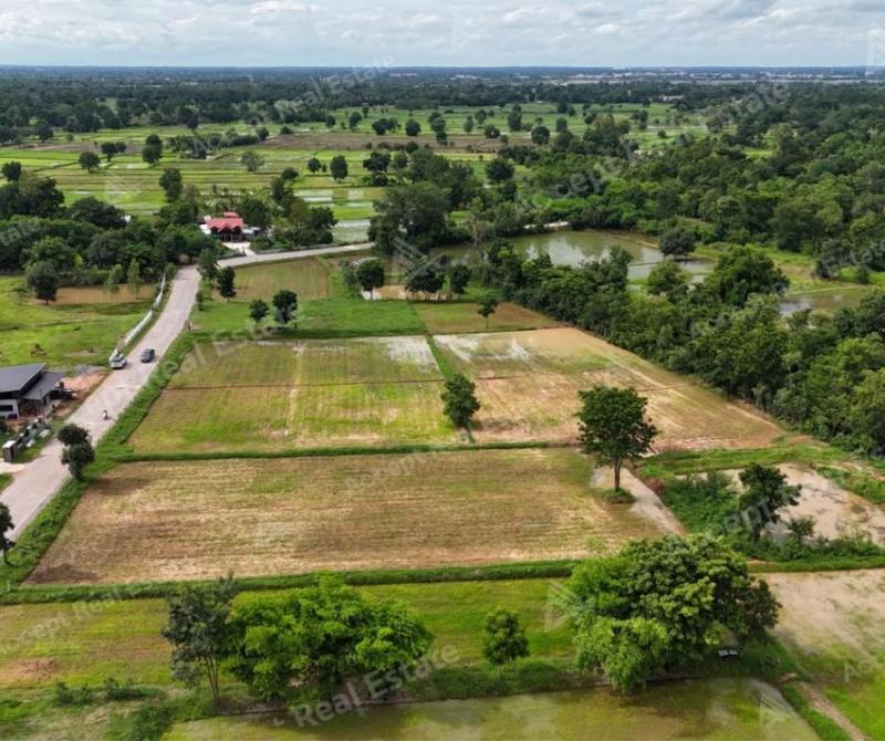 รูปที่3 ต้องการขายที่ดินเปล่า หนองมะเขือ พล ราคา 4,000,000 บาท