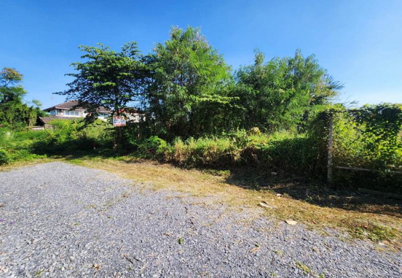 รูปที่3 ต้องการขายที่ดินเปล่า ฉิมพลี เขตตลิ่งชัน ราคา 3,600,000 บาท