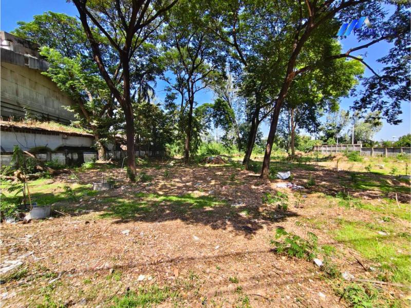 รูปที่2 ต้องการขายบ้านพร้อมที่ดิน บางพูน เมืองปทุมธานี ราคา 76,000,000 บาท