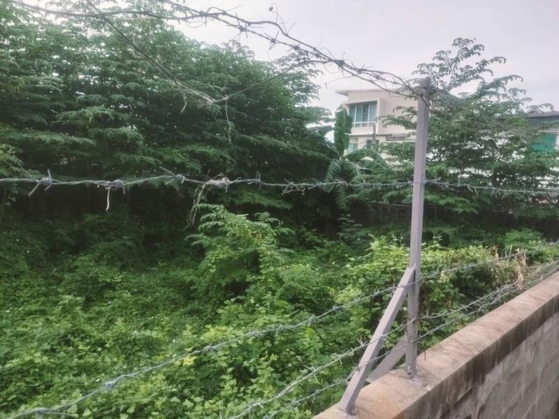 รูปที่4 ต้องการขายที่ดินเปล่า สามเสนใน เขตพญาไท ราคา 13,500,000 บาท