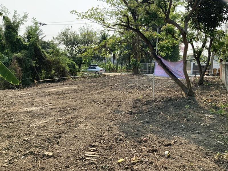 รูปที่3 ต้องการขายที่ดินเปล่า บางเลน บางใหญ่ ราคา 2,100,000 บาท