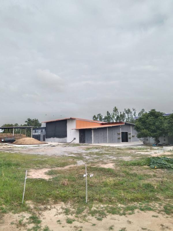 รูปที่7 ต้องการขายบ้านพร้อมที่ดิน ทะเลบก ดอนเจดีย์ ราคา 2,500,000 บาท