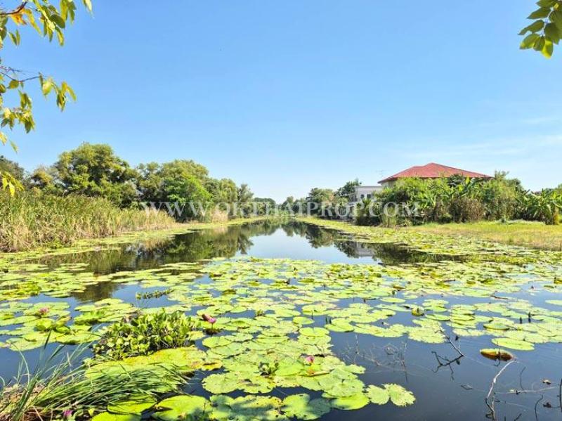 รูปที่8 ต้องการขายที่ดินเปล่า คูคต ลำลูกกา ราคา 8,750,000 บาท
