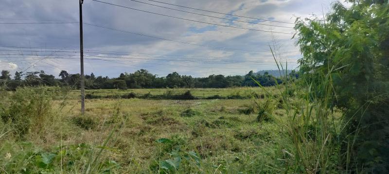 รูปที่3 ต้องการขายที่ดินเปล่า เชิงดอย ดอยสะเก็ด  