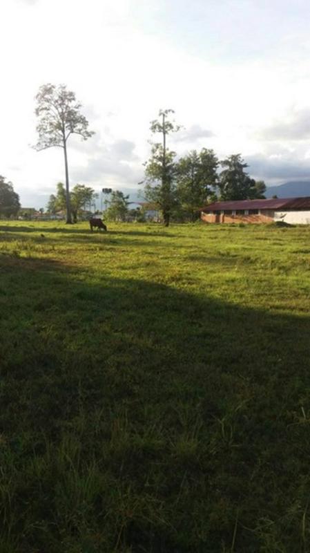 รูปที่7 ต้องการขายที่ดินเปล่า ไคสี เมืองบึงกาฬ ราคา 1,500,000 บาท