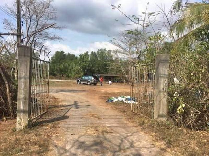 รูปที่2 ต้องการขายที่ดินเปล่า บางกะจะ เมืองจันทบุรี ราคา 24,800,000 บาท