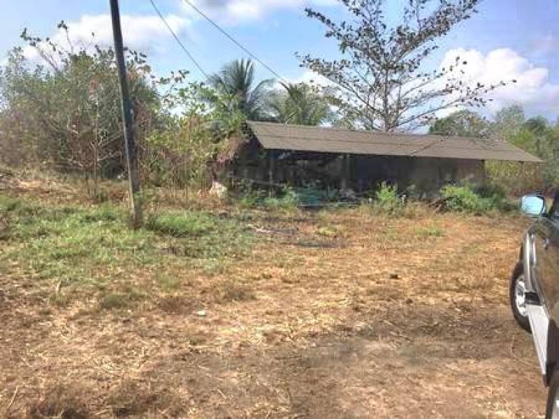 รูปที่5 ต้องการขายที่ดินเปล่า บางกะจะ เมืองจันทบุรี ราคา 24,800,000 บาท