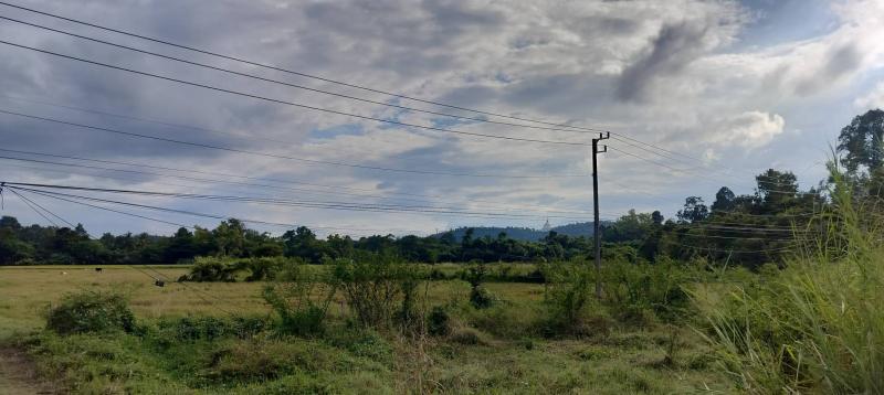 รูปที่3 ต้องการขายที่ดินเปล่า เชิงดอย ดอยสะเก็ด  