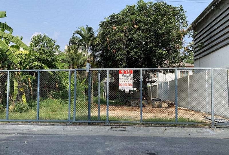 ขายที่ดินเปล่า ราคา : 16,500,000