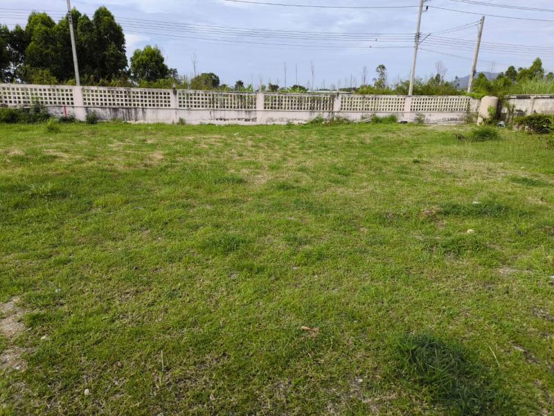 รูปภาพสินทรัพย์