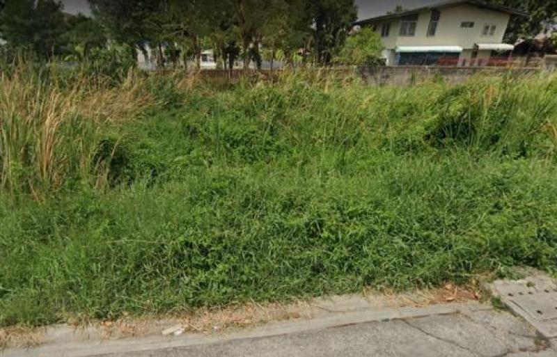 รูปที่3 ต้องการขายที่ดินเปล่า ท่าแร้ง เขตบางเขน ราคา 25,175,000 บาท