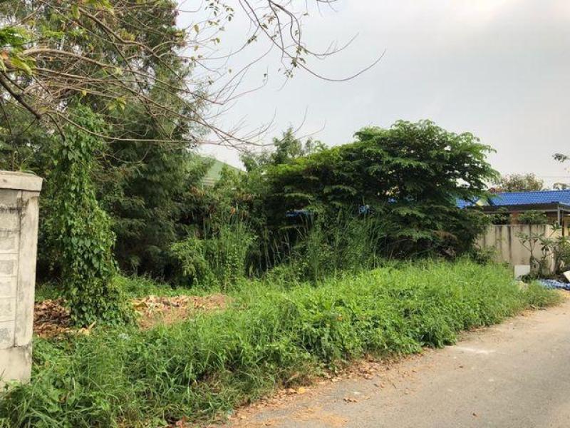 รูปที่2 ต้องการขายที่ดินเปล่า จรเข้บัว เขตลาดพร้าว ราคา 10,620,000 บาท