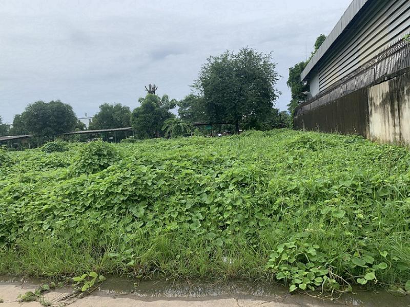 รูปที่2 ต้องการขายที่ดินเปล่า คลองจั่น เขตบางกะปิ ราคา 30,444,000 บาท