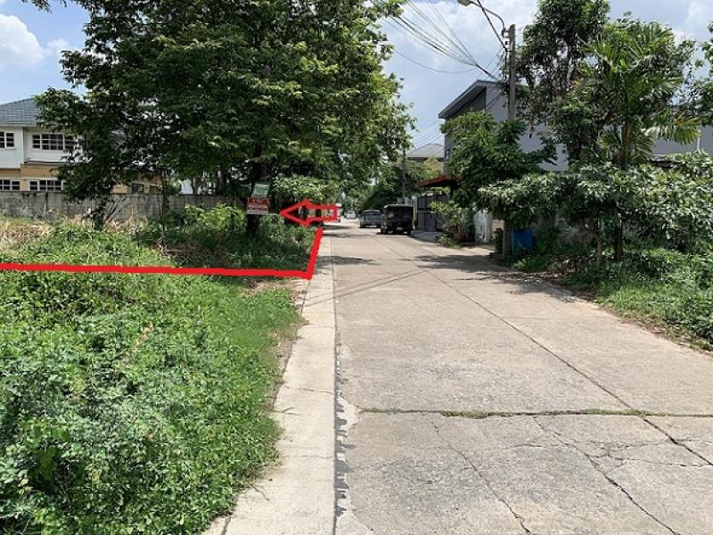 รูปที่3 ต้องการขายที่ดินเปล่า สะพานสูง เขตสะพานสูง ราคา 6,000,000 บาท