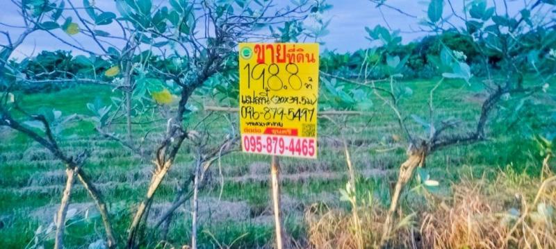 รูปที่3 ต้องการขายที่ดินเปล่า หนองเพรางาย ไทรน้อย ราคา 1,188,000 บาท