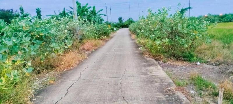 รูปที่4 ต้องการขายที่ดินเปล่า หนองเพรางาย ไทรน้อย ราคา 1,188,000 บาท
