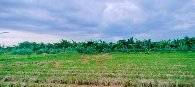 รูปที่6 ต้องการขายที่ดินเปล่า หนองเพรางาย ไทรน้อย ราคา 1,188,000 บาท