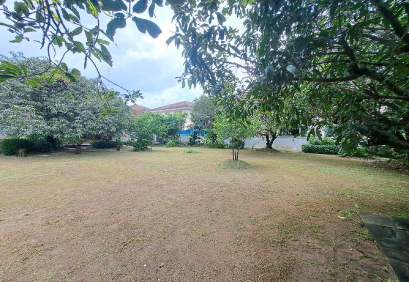 รูปที่7 ต้องการขายที่ดินเปล่า ท่าแร้ง เขตบางเขน ราคา 9,500,000 บาท