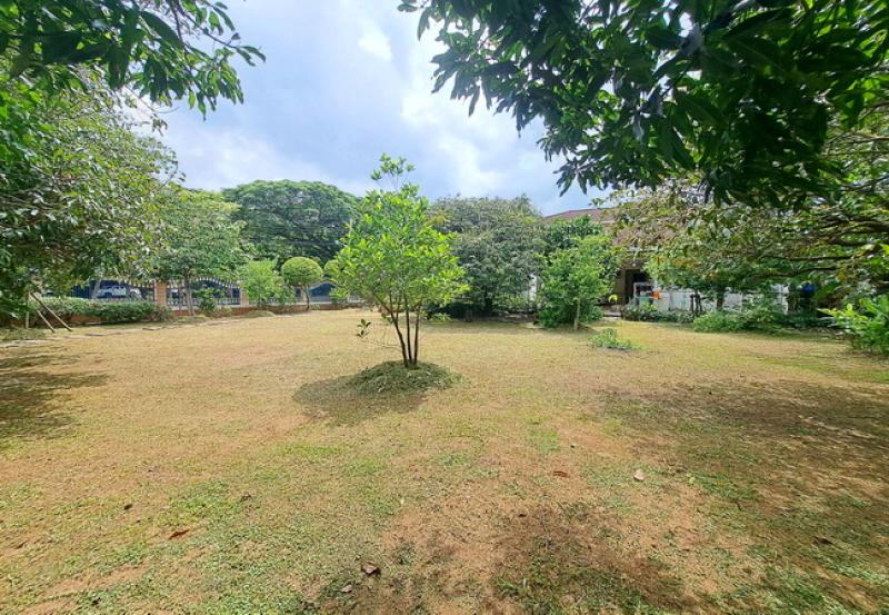 รูปที่8 ต้องการขายที่ดินเปล่า ท่าแร้ง เขตบางเขน ราคา 9,500,000 บาท