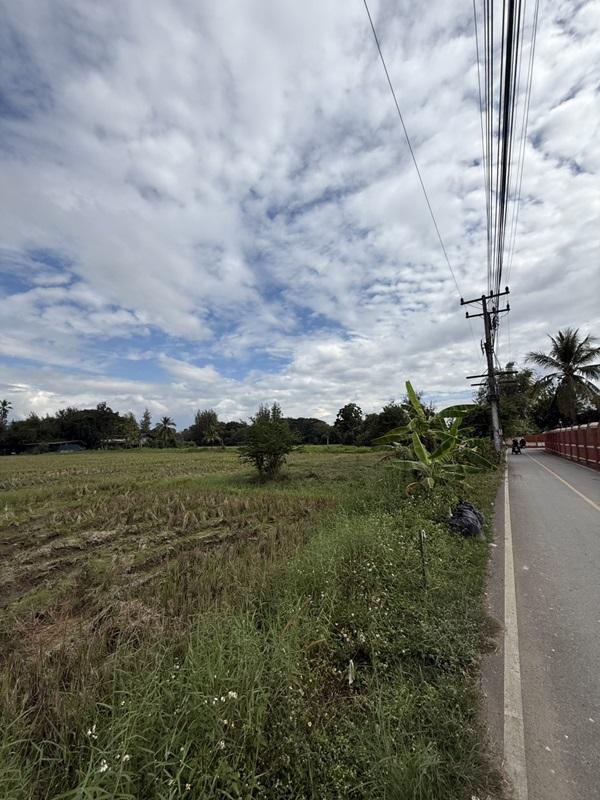 รูปที่4 ต้องการขายที่ดินเปล่า แม่ปูคา สันกำแพง ราคา 8,000 บาท