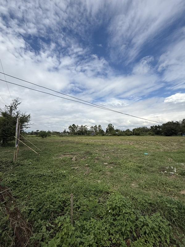 รูปที่5 ต้องการขายที่ดินเปล่า แม่ปูคา สันกำแพง ราคา 8,000 บาท