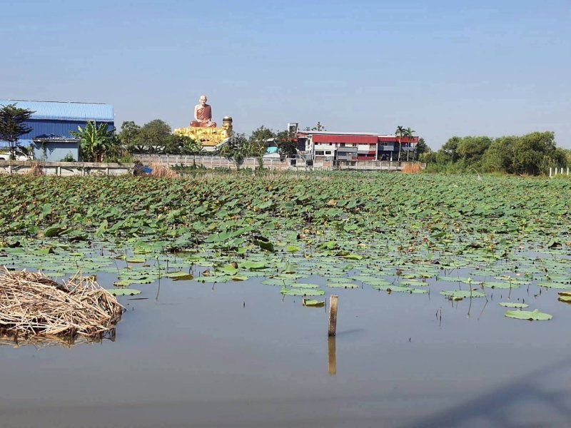 รูปที่6 ต้องการขายบ้านพร้อมที่ดิน คลองสาม คลองหลวง ราคา 3,500,000 บาท