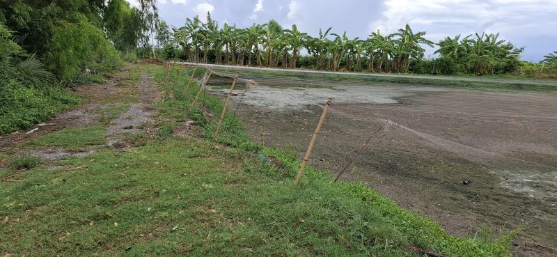 รูปภาพสินทรัพย์