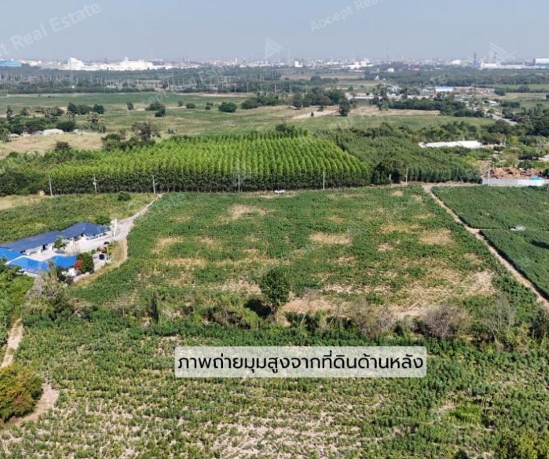 รูปที่4 ต้องการขายที่ดินเปล่า บ้านฉาง บ้านฉาง ราคา 3,200,000 บาท