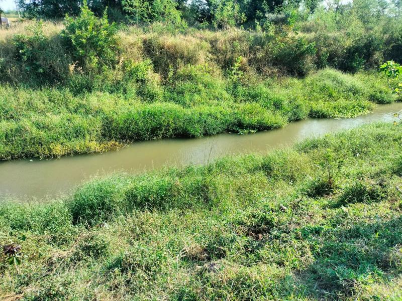 รูปที่6 ต้องการขายที่ดินเปล่า ดอนทราย ปากท่อ ราคา 3,000,000 บาท