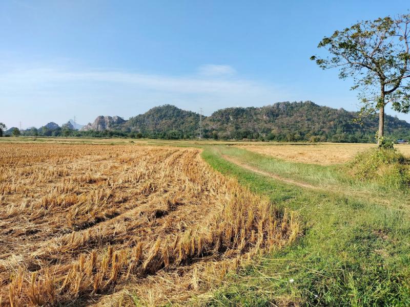 รูปที่7 ต้องการขายที่ดินเปล่า ดอนทราย ปากท่อ ราคา 3,000,000 บาท