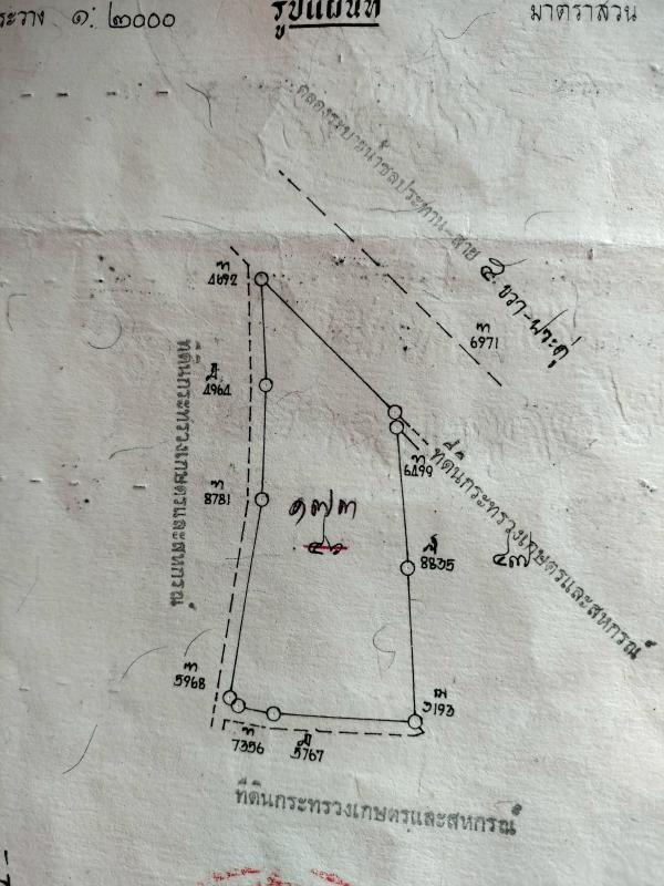 รูปที่8 ต้องการขายที่ดินเปล่า ดอนทราย ปากท่อ ราคา 3,000,000 บาท