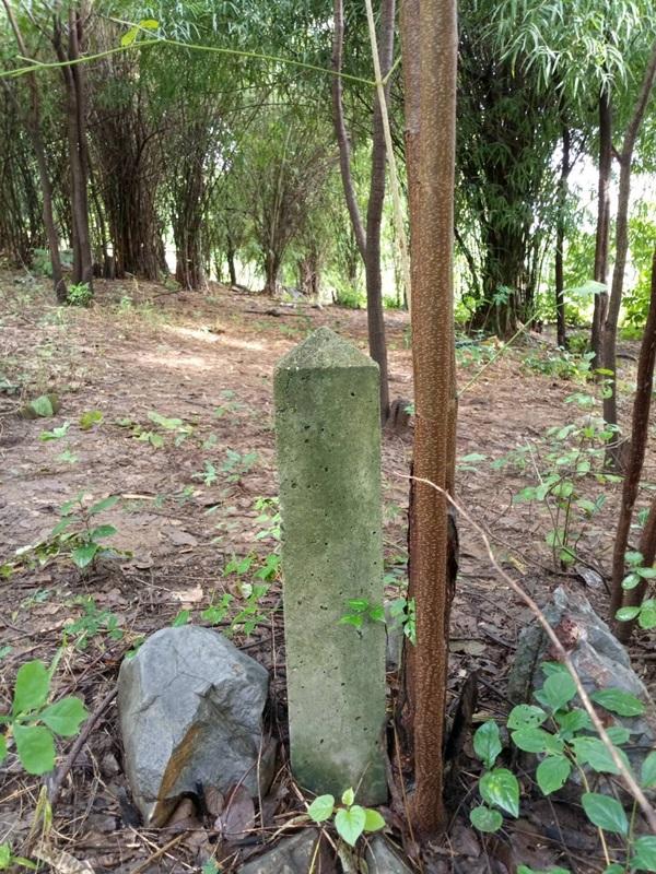 รูปที่5 ต้องการขายที่ดินเปล่า นิคมเขาบ่อแก้ว พยุหะคีรี ราคา 220,000 บาท