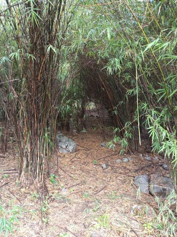 รูปที่8 ต้องการขายที่ดินเปล่า นิคมเขาบ่อแก้ว พยุหะคีรี ราคา 220,000 บาท