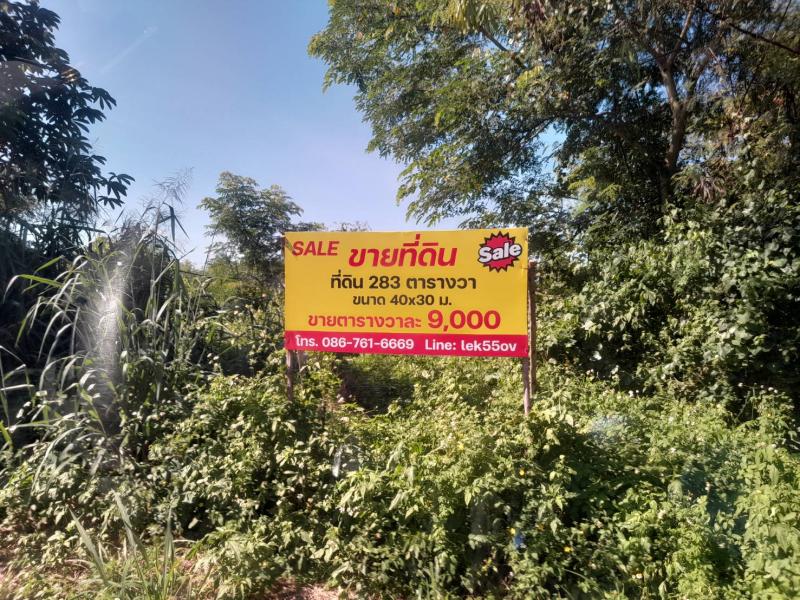 รูปที่5 ต้องการขายที่ดินเปล่า สันกำแพง สันกำแพง ราคา 3,367,700 บาท