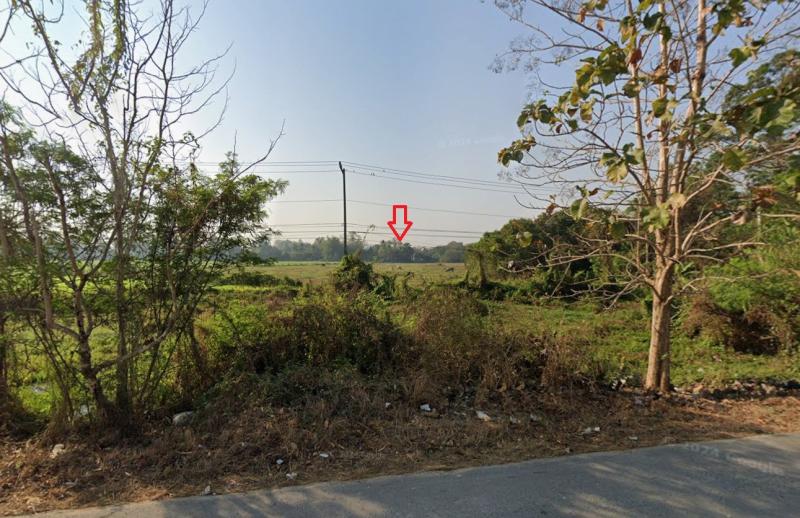 รูปที่3 ต้องการขายที่ดินเปล่า เชิงดอย ดอยสะเก็ด  