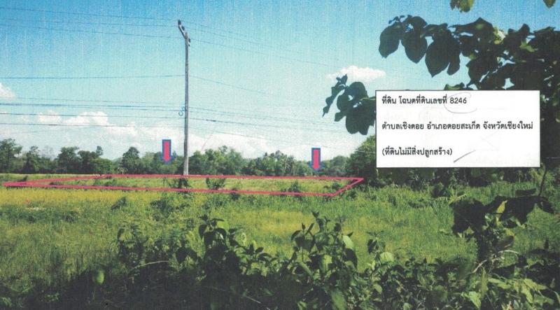 รูปที่2 ต้องการขายที่ดินเปล่า เชิงดอย ดอยสะเก็ด  