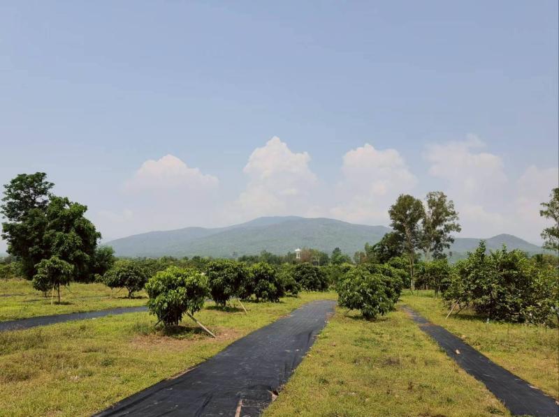 รูปภาพสินทรัพย์