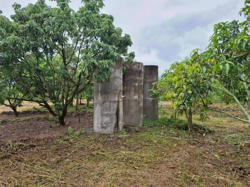 รูปที่4 ต้องการขายบ้านพร้อมที่ดิน หนองปลาสะวาย บ้านโฮ่ง ราคา 12,000,000 บาท