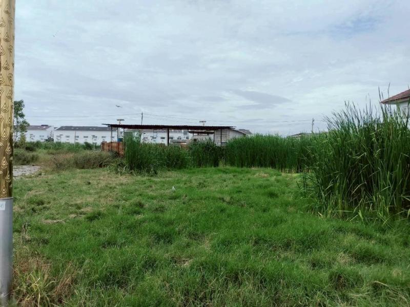 รูปภาพสินทรัพย์