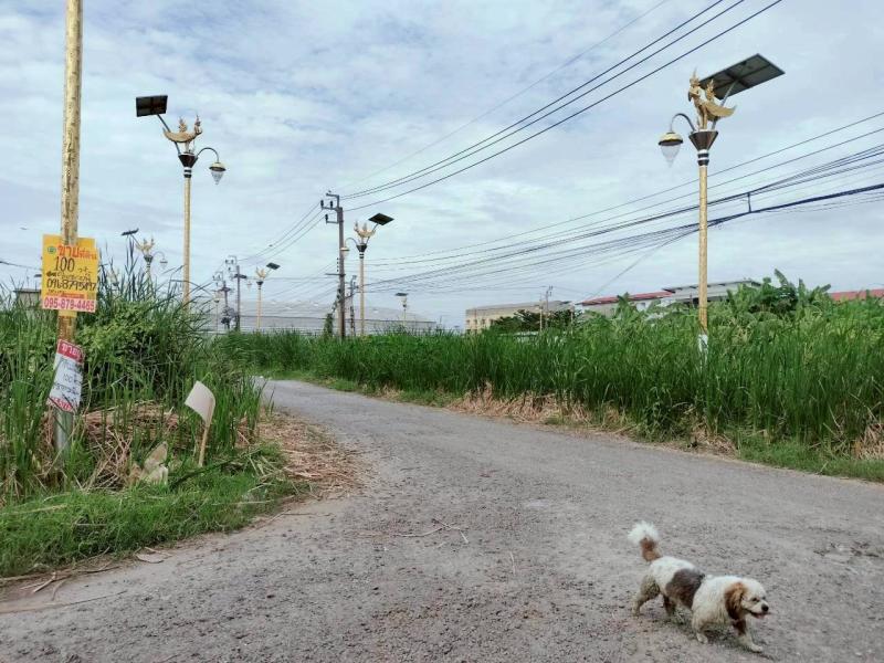 รูปที่4 ต้องการขายที่ดินเปล่า ราชาเทวะ บางพลี ราคา 2,350,000 บาท