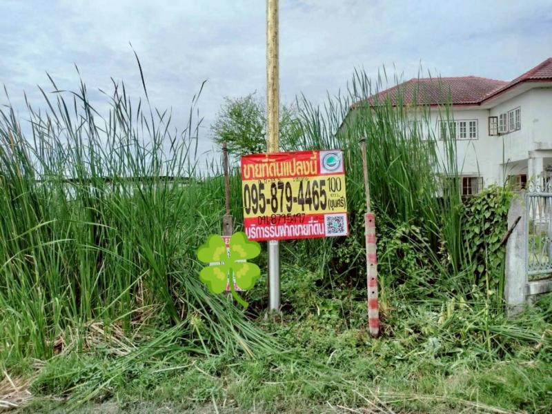 รูปที่8 ต้องการขายที่ดินเปล่า ราชาเทวะ บางพลี ราคา 2,350,000 บาท