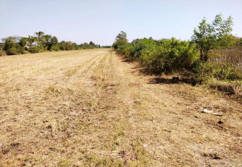 รูปที่8 ต้องการขายที่ดินเปล่า คลองสาม คลองหลวง ราคา 4,750,000 บาท